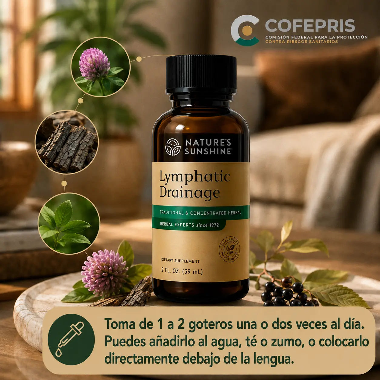 Lymphatic Drainage™ Nature's Sunshine